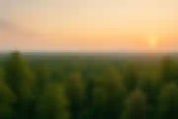 Why I Don't Like Imperative Code (And What I Prefer Instead, Especially with MCP) blog post thumbnail blur image